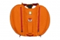 Mobile Preview: Ruffwear Approach Pack Hundepacktaschen 000127_orange 04